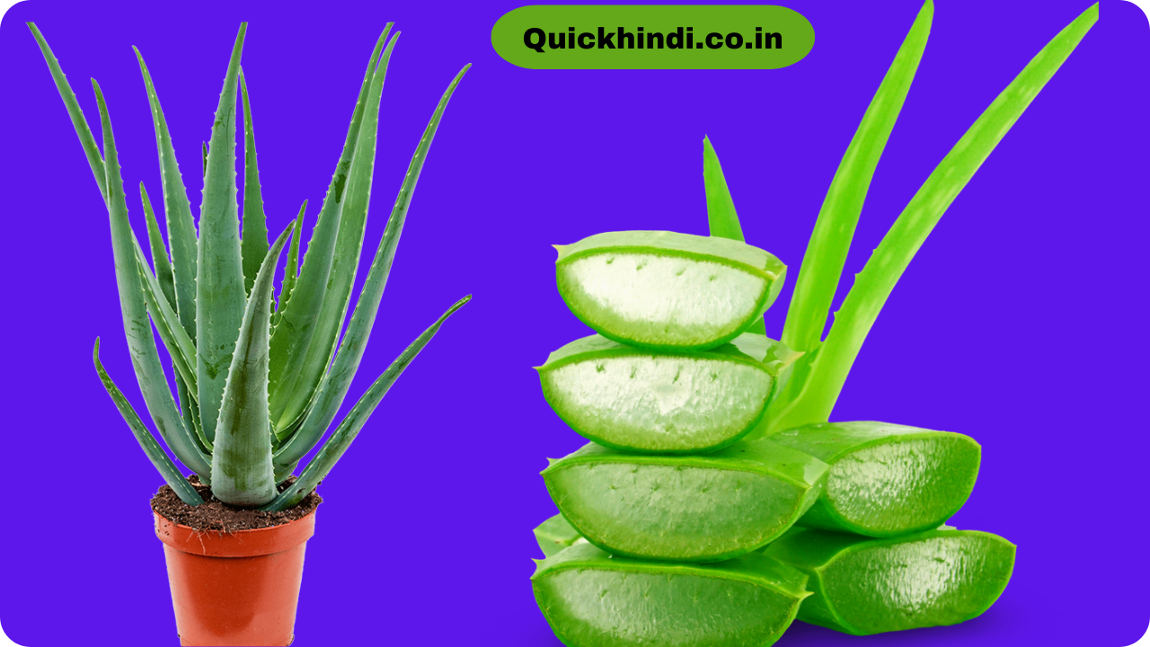 Benefits of aloe Vera juice